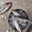 test4